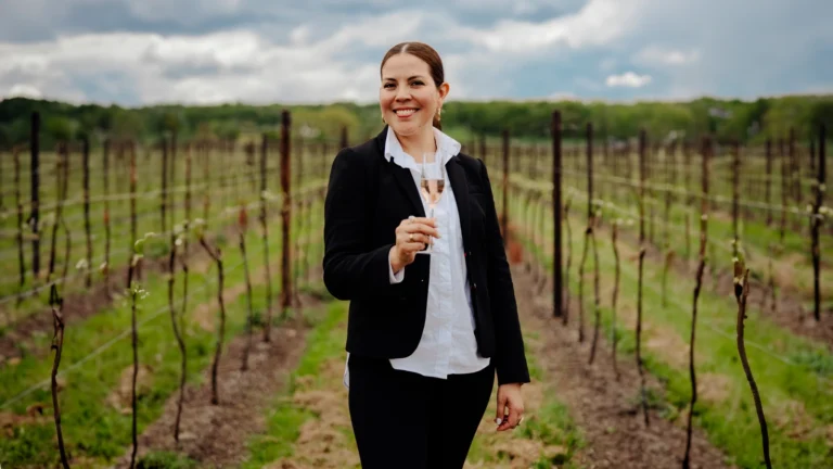 3 VINOS PARA SOBREVIVIR DICIEMBRE